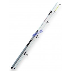 CANNA SPINNING PESANTE...