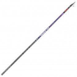 CANNA FALCON VENERE VIOLA...
